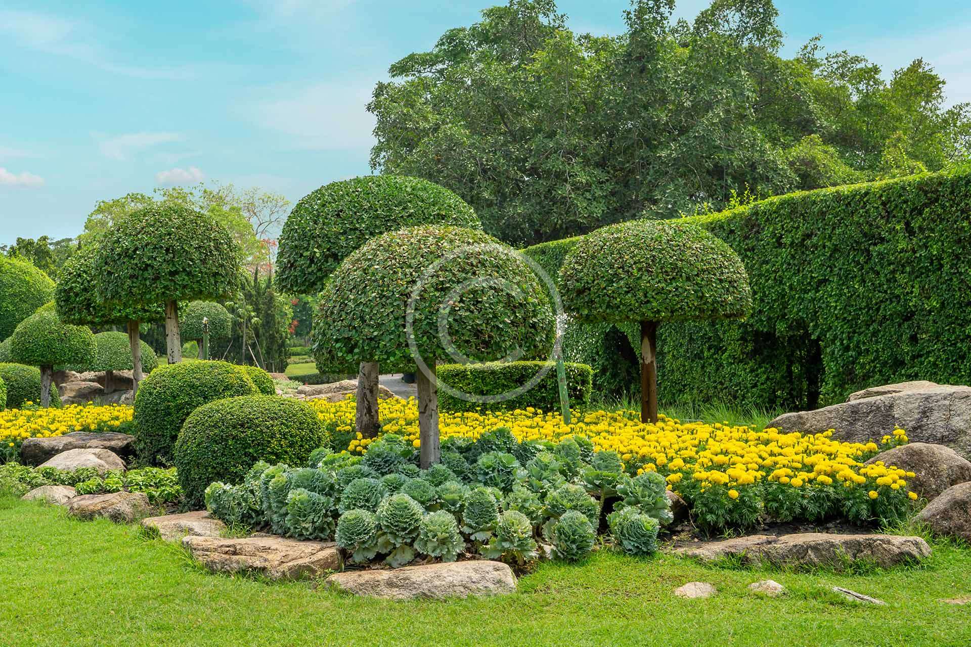 Investor-Friendly Returns