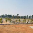 Why Investing in Plots Is a Smart Decision in Today’s Real Estate Market